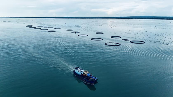 省属企业以实干护好群众“盘中餐”CQ9电