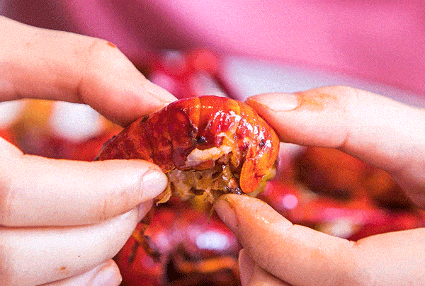 之道：72个情绪价值营造标杆案例CQ9电子app旅游餐饮场景破局(图67)