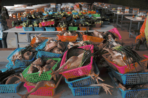 之道：72个情绪价值营造标杆案例CQ9电子app旅游餐饮场景破局(图75)